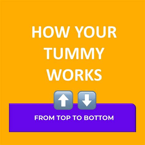 How Your Tummy Works All You Need To Know Tummy Mot