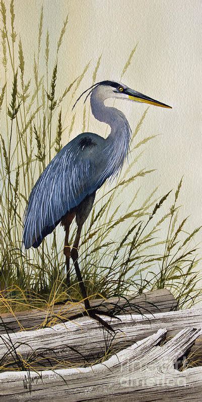 Great Blue Heron Splendor Art Print By James Williamson