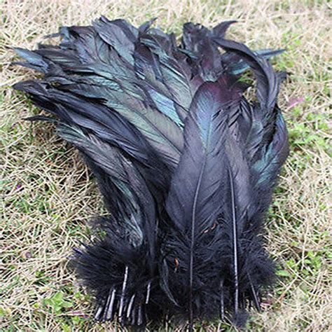 wholesale 100pcs lot natural black beautiful rooster feathers 30 35cm 12 14inch in feather from