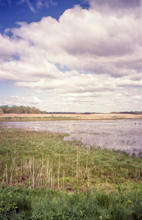 Img Olympus Xa Kodak Pro Image Matthew Matuska Flickr