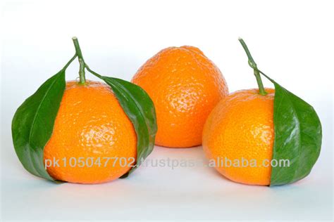 Fresh Mandarin Kinnow Citruspakistan Mr Mandarinkinnow Price