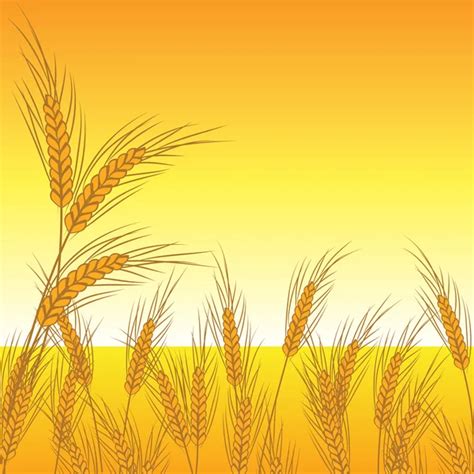 Landscape With Wheat — Stock Vector © Creator76 2767783