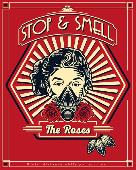 Stop And Smell The Roses Amplifier Community