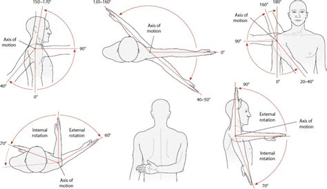 Shoulder Elbow And Upper Extremity Sports Musculoskeletal Key