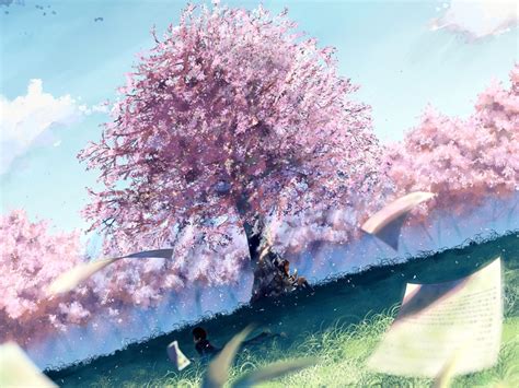 Brown Hair Cherry Blossoms Clouds Flowers Grass Landscape Paper Scenic