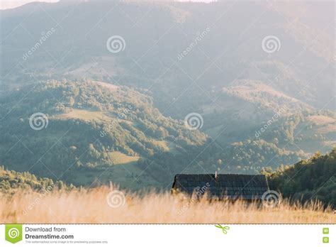 Mountain Landscape With Fir Trees Wooden Fences And Cottage In Ukraine