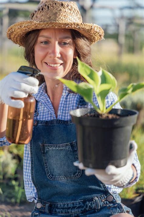 Woman Gardener Watering Plant With Spray Bottle In Garden Stock Photo