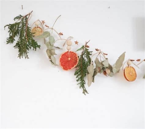 Dried Fruit Holiday Garland Workshop Reds Mercantile Holiday