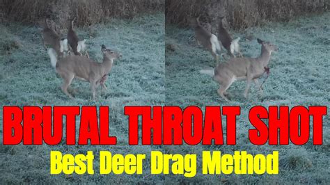 Brutal Throat Shot Best Deer Drag Method Youtube