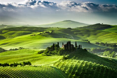 Sunrise Over Farm Of Olive Groves And Vineyards In Tuscany Stock Photo
