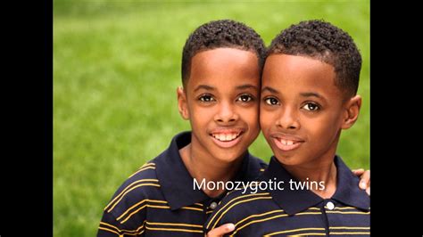 Siamesefraternal And Identical Twinsproject Work Youtube