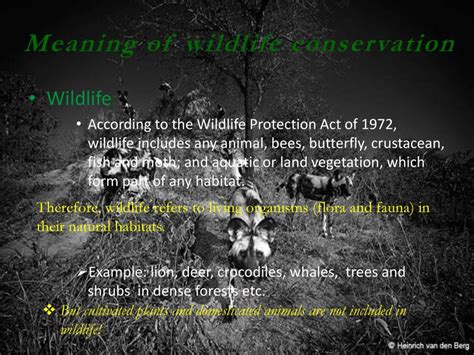 Wildlife Conservation Powerpoint Slides Learnpick India