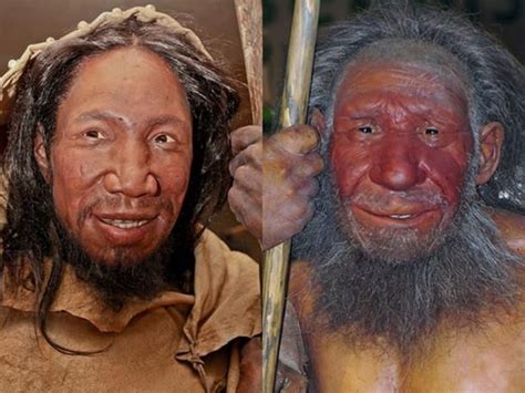 All About Neanderthals The Surprising Facts Ancient Origins In 2020