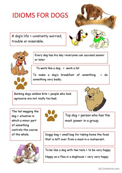 Dog Idioms English Esl Worksheets Pdf And Doc