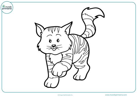 Dibujo Para Colorear De Gato Dibujos De Gatos Para Imprimir Y Images Sexiz Pix