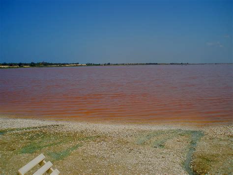 A Unique Pink Lake In Senegal Dakar Rose Lake Boomsbeat