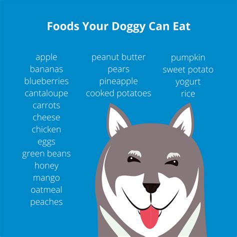 However, veterinarians would advise owners asking can dogs safely eat a whole persimmon? to err on the side of caution never even try feeding persimmons to your dogs outright because the seeds can become easily accessible to them. What Dogs Can and Cannot Eat