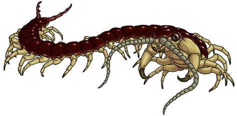 Huge Gruesome Centipede Basic Lore Epic Path