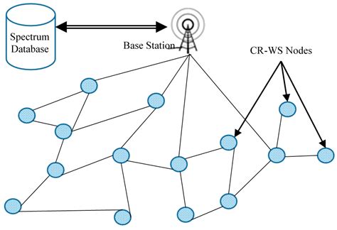 Sensors Free Full Text A Survey On Node Clustering In Cognitive