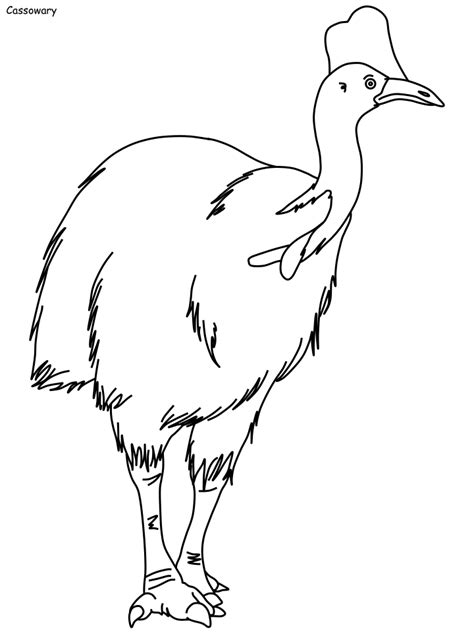 15 nice bird coloring pages realistic. Bird Coloring Pages