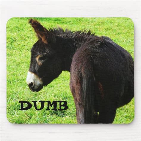 Dumb Ass Funny Donkey Photo Mouse Pads Zazzle