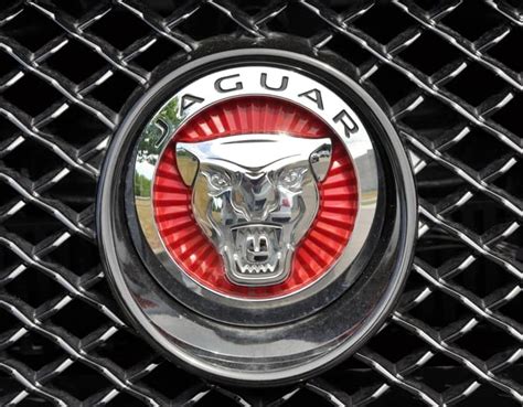 The Jaguar Symbol History Of The Jaguar Logo