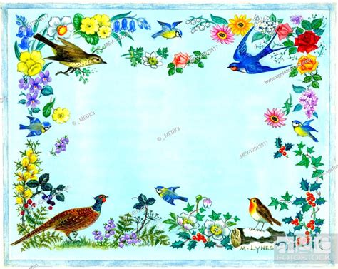 Border Design With Birds And Flowers Of The Four Seasons Includes Blue