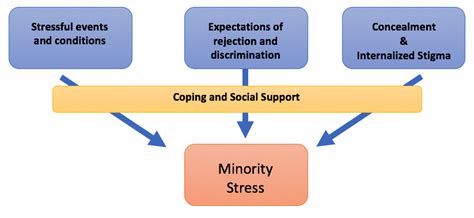 Minority Stress Achieving Health Equity Ut Austin Wikis