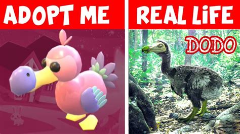 Adopt me robux'la alınabilen petler. ADOPT ME PETS IN REAL LIFE (FOSSIL PETS) - YouTube