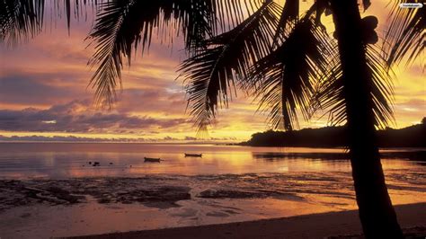 41 Free Sunset Tropical Island Wallpaper Wallpapersafari