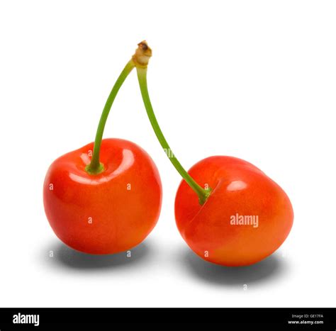 Two Red Cherries Together Isolated On White Background Stock Photo Alamy