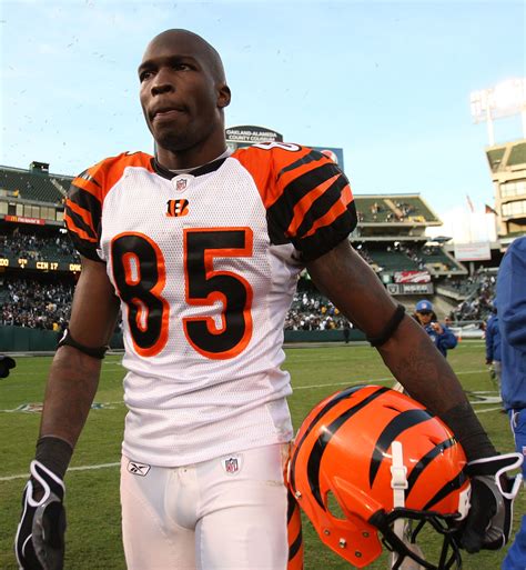 Chad Ochocinco 10 Bold Predictions For The Bengals Wideout In 2010