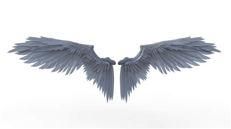 Download Wings Fly Isolated Royalty Free Stock Illustration Image Pixabay