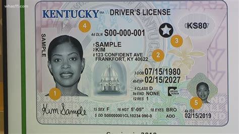 Kentucky Unveils New Driver License Options