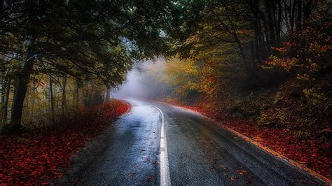 写真、 青、 葉、 秋、 道路、 森林、 霧、 ギリシャ、 低木、 朝、 日光、 木、 風景、 赤、 自然、 Hdデスクトップの壁紙