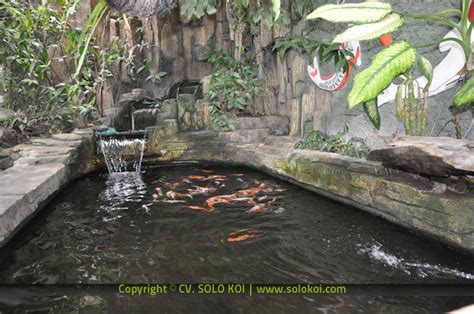 Paling Populer di GOOGLE: Percantik Halaman Belakang dengan Kolam Koi