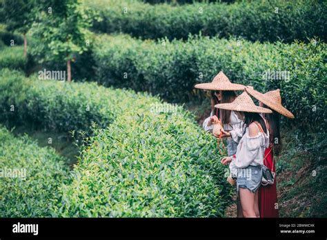 Yangshuo China August 2019 Three Girls Wearing Traditional Conical