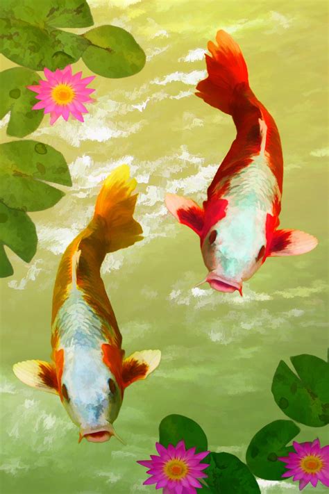 Koi Fish Phone Wallpapers Top Free Koi Fish Phone Backgrounds
