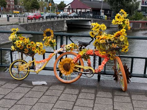 Lovely Flower Decorated Bike Somewhere In Noord Ramsterdam