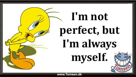 Im Not Perfect ⋆ Tomsen