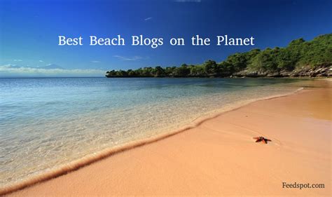 Top 30 Beach Blogs Websites And Newsletters To Follow In 2018