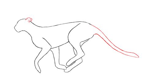 This week i have some tips on drawing a realistic cheetah in graphite. How Draw Baby Cheetah - ClipArt Best - ClipArt Best