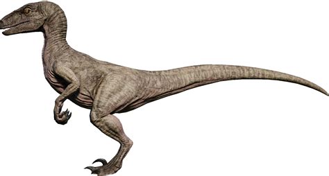 Raptor Dinosaur 3d Model Realistic And Rigged 3d Model Ubicaciondepersonascdmxgobmx