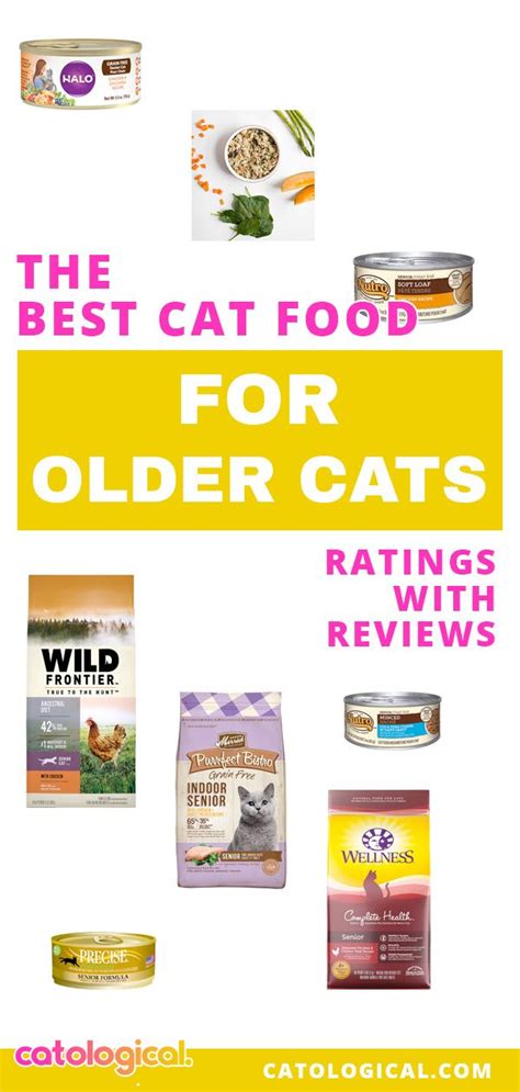 The Best Cat Foods For Senior Cats Reviewed And Rated Best Cat Food