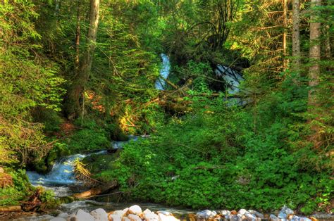 4k Reserve Doost Forests Stones Germany Moss Stream Bavaria Hd