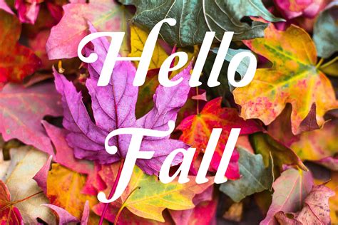 Goodbye Summer Hello Fall Images