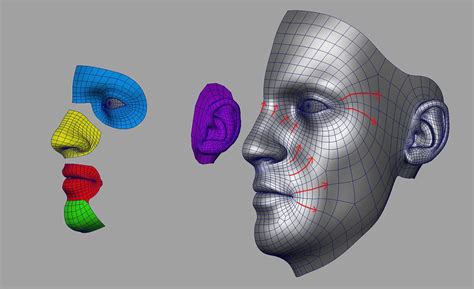 Maya Modeling The Head Maya Modeling Face Topology 3d Modeling