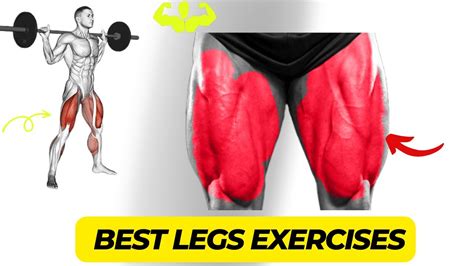 Best Leg Exercises At For Bigger Legs Muscles Youtube