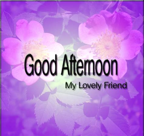 Good Afternoon Pictures Images Graphics