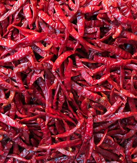 Red Dry Chilli Indian Spices And Masala Manufacturers Bulk Whole